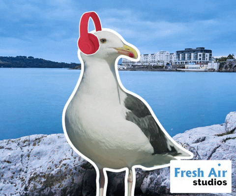 A seagull wearing red headphones. The text 'Geddon!' appears. Gif making by Video Posts